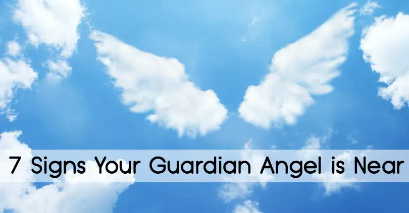 guardian angel signs near