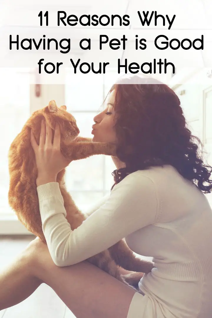 11 Reasons Why Having a Pet is Good for Your Health ~