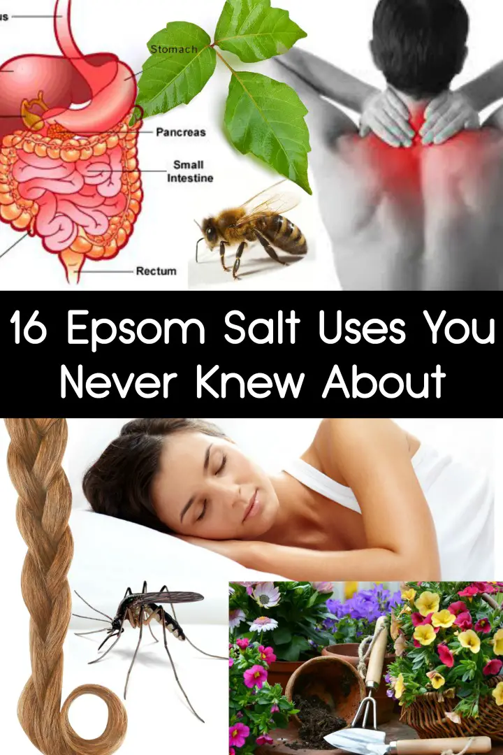 16 Epsom Salt Uses You Never Knew About ~