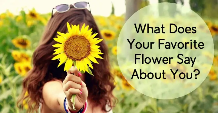 What Does Your Favorite Flower Say About You?