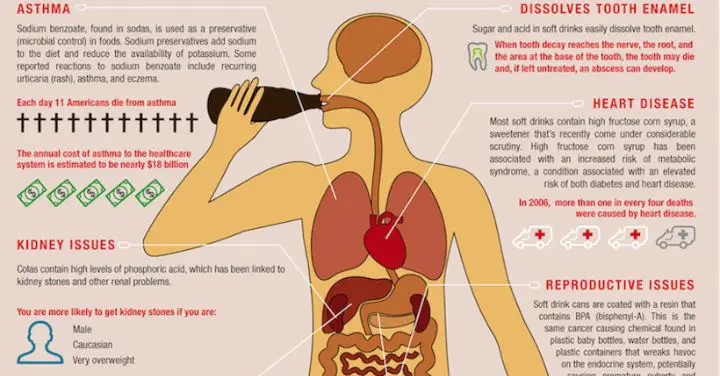 How a Sip of Soda Impacts Your Body