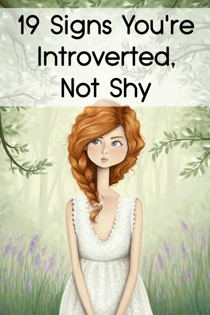 19 Signs You Re Introverted Not Shy Kapua