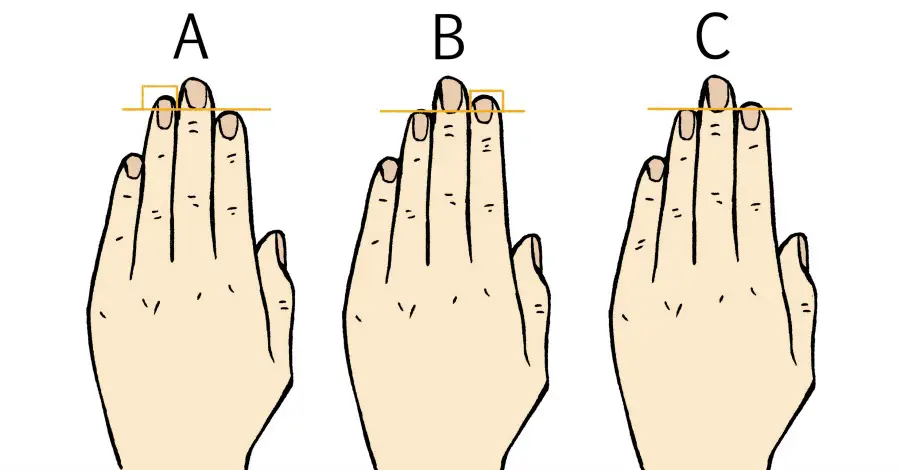 What The Length of Your Fingers Says About Your Personality