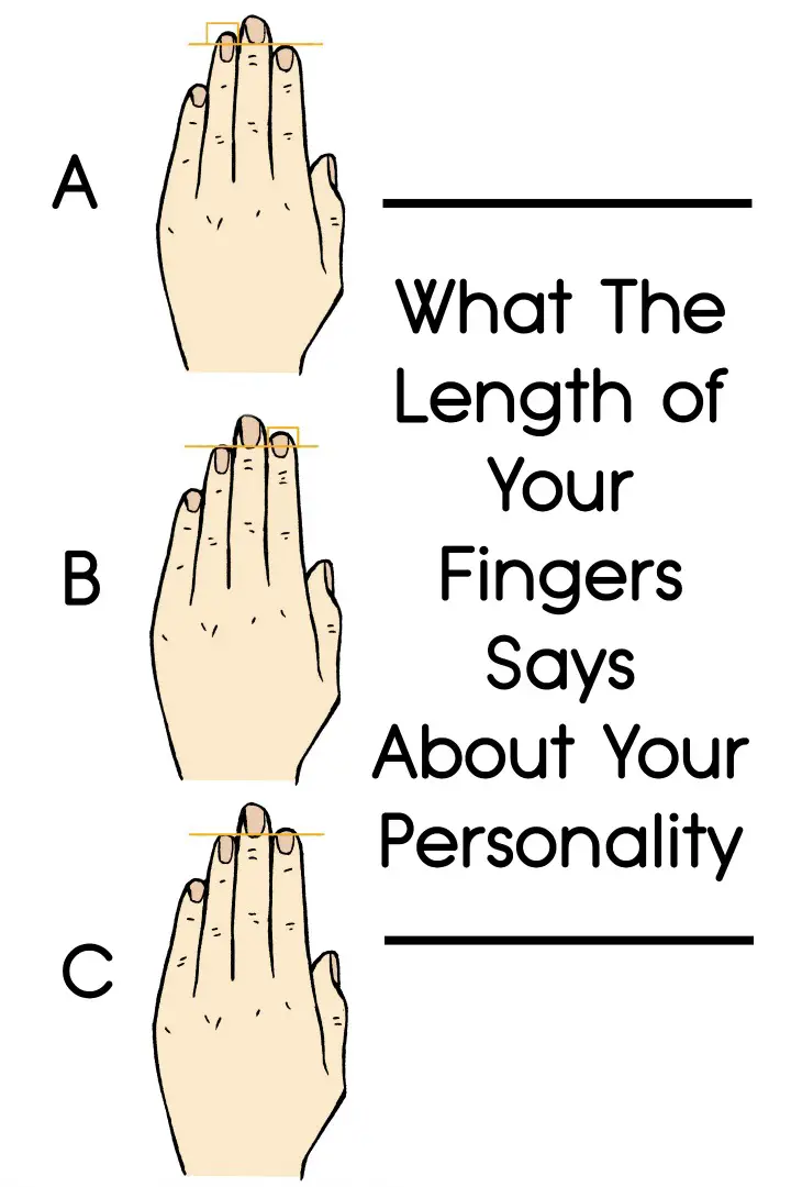 What The Length of Your Fingers Says About Your Personality ~