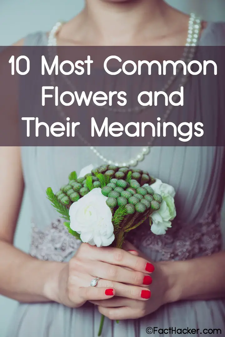 10 Most Common Flowers and Their Meaning